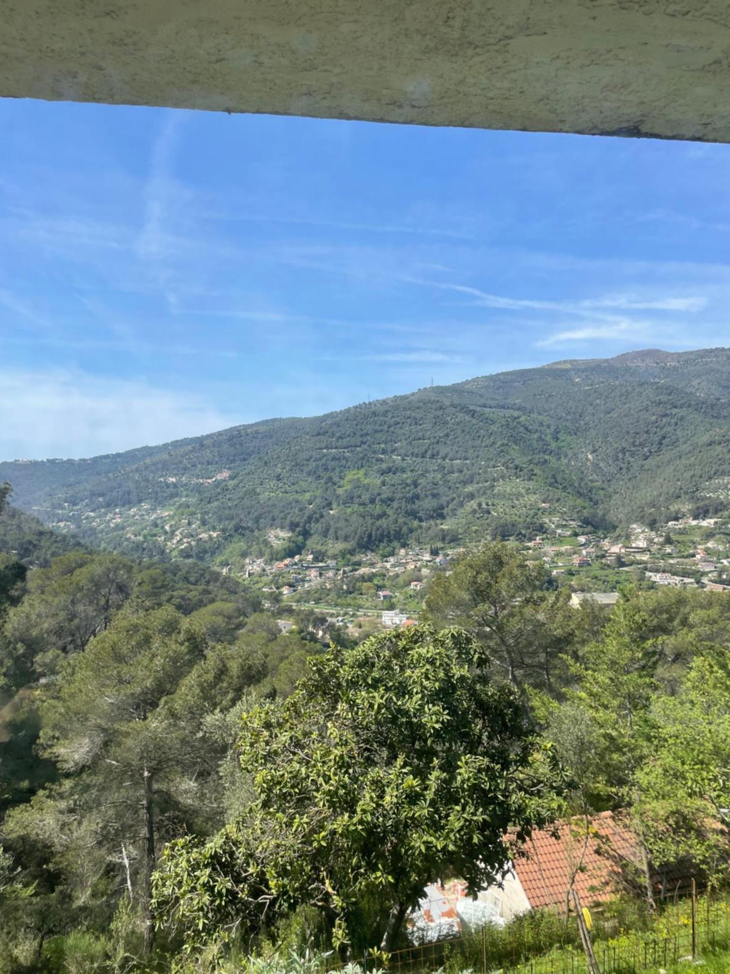 Charme Provencal Pres De Nice Blausasc Eksteriør bilde